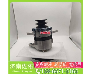 辽宁612600098155起动机1812006036 潍柴 Sany Trucks 天锦货车 WP10 发电机